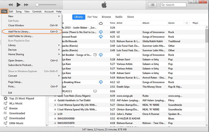 Add DVD Video to iTunes Library