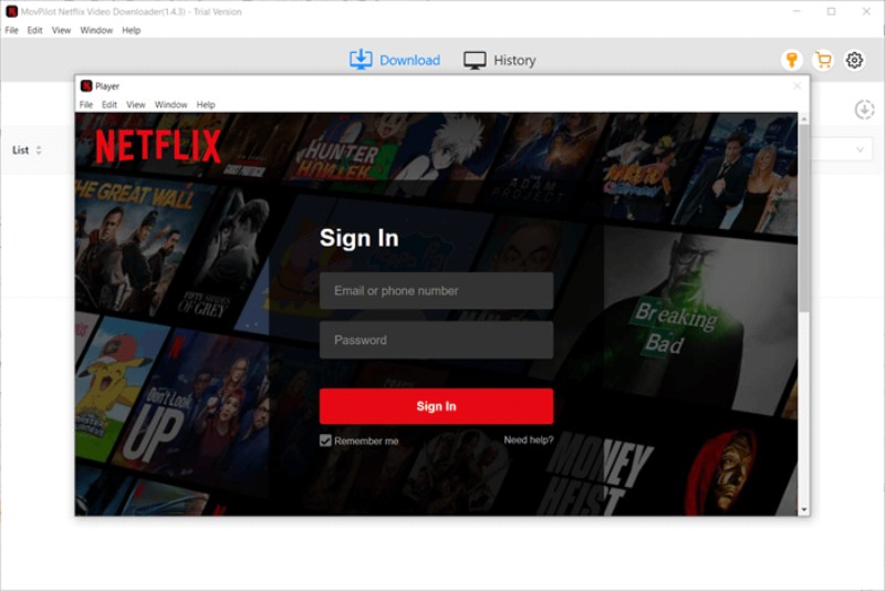 Log In To Your Netflix Account