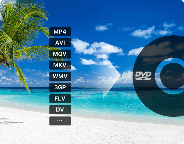 Main Video Formats Cisdem DVD Burner Supports